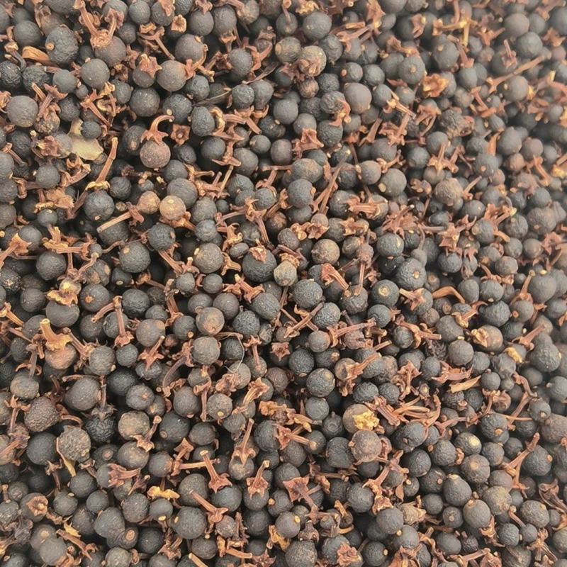 大量批发柑胎，有蒂，无蒂都有，量大价优