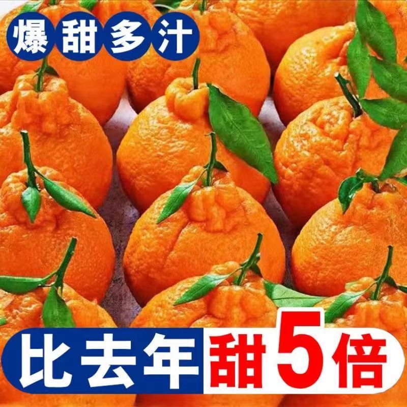 湖北不知火柑桔精选大果对接超市电商一件代发