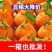 湖北不知火柑桔精选大果对接超市电商一件代发