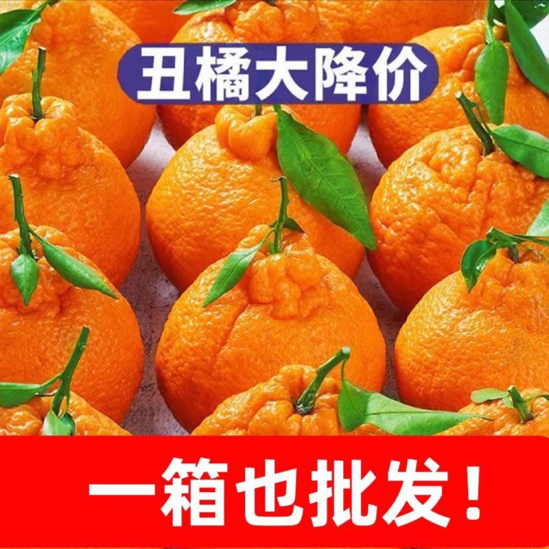 湖北不知火柑桔精选大果对接超市电商一件代发