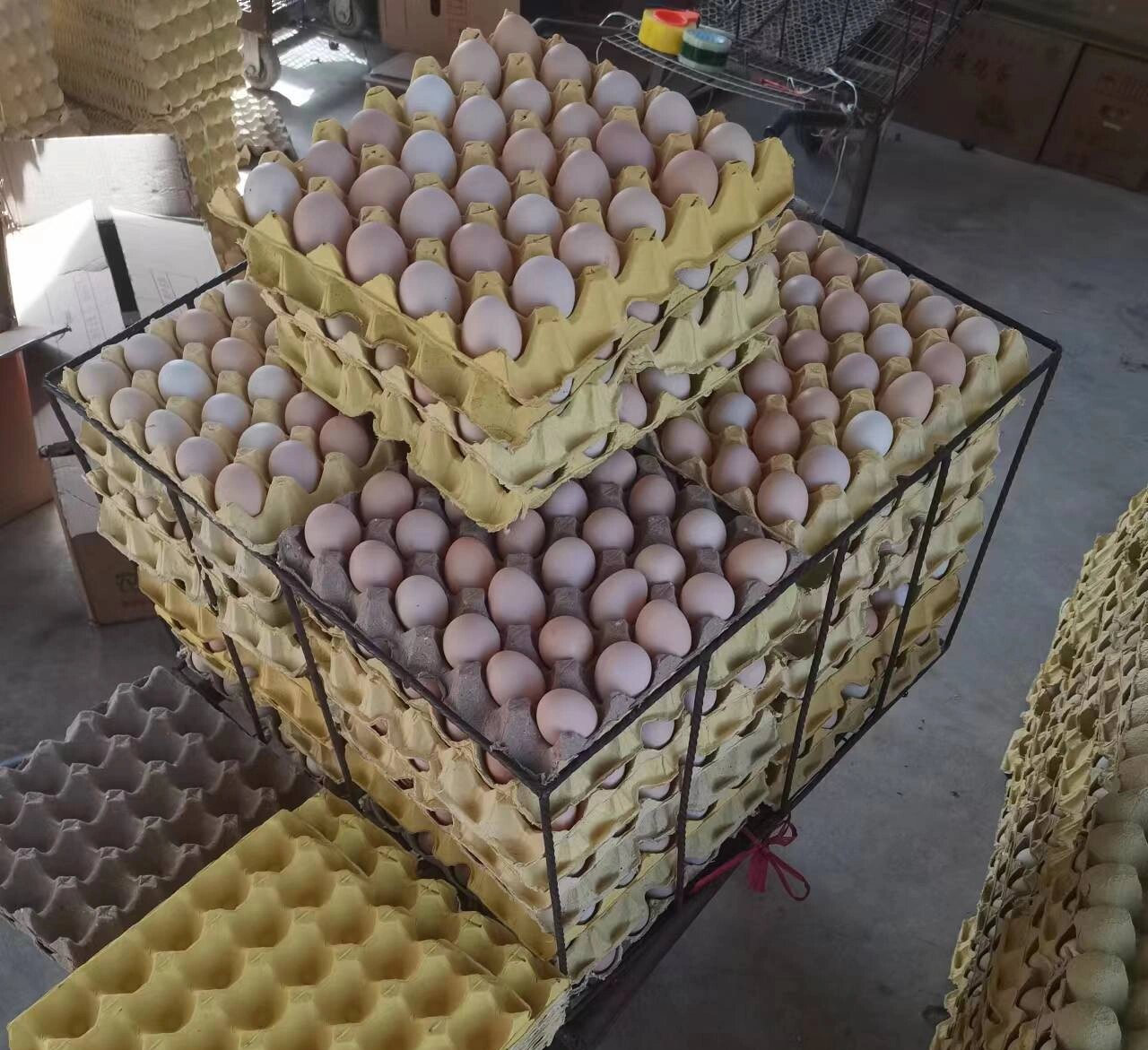 鸡蛋批发市场交易场景