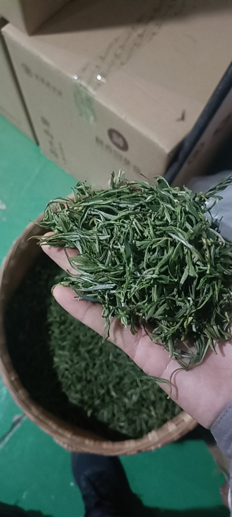 新鲜采摘！合肥直供黄山毛峰，品质保证，快来选购！