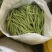 大量新苗四季豆横县龙须豆无筋豆大青豆小金豆