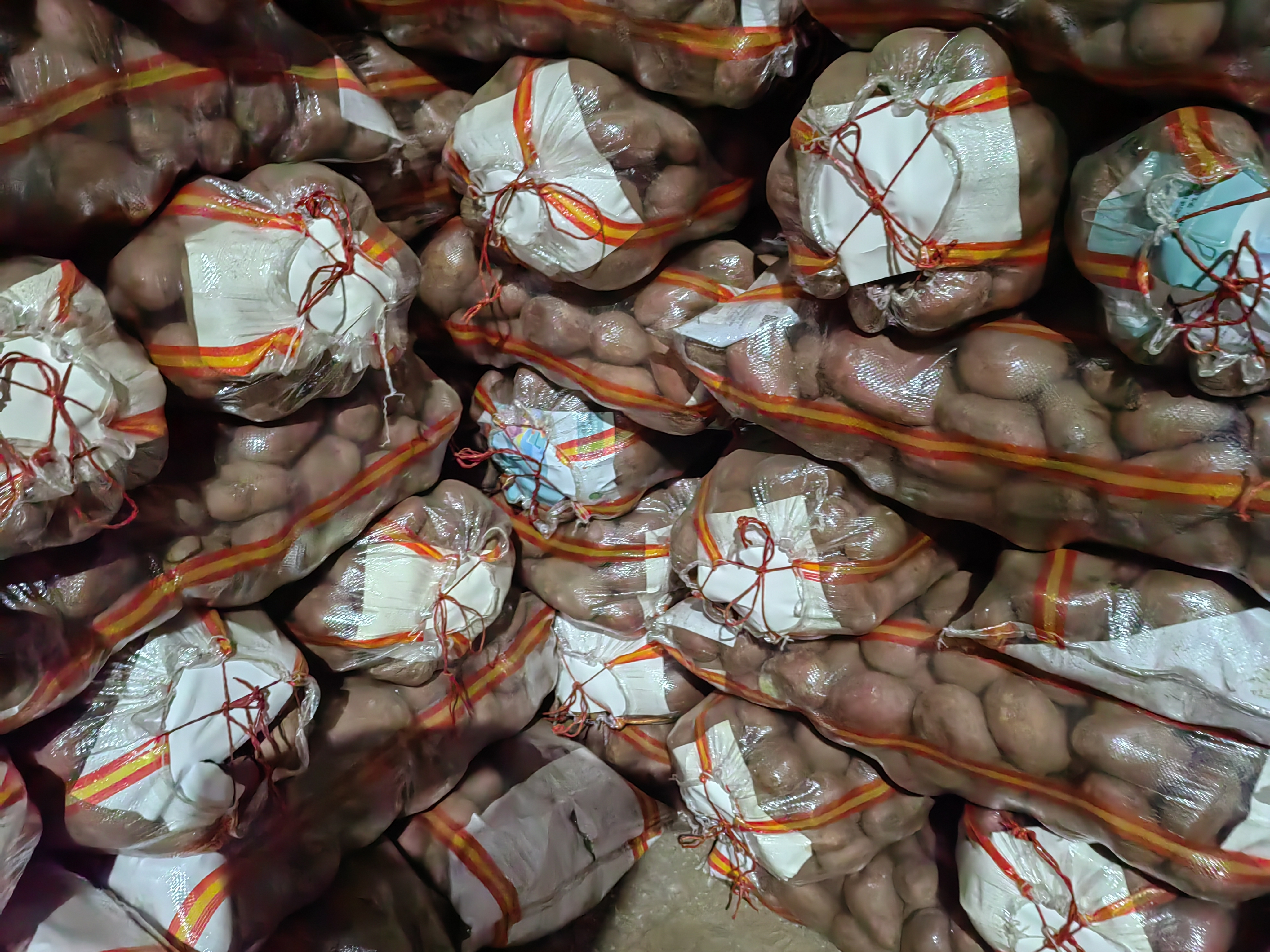 马铃薯品种226分级包装车间场景