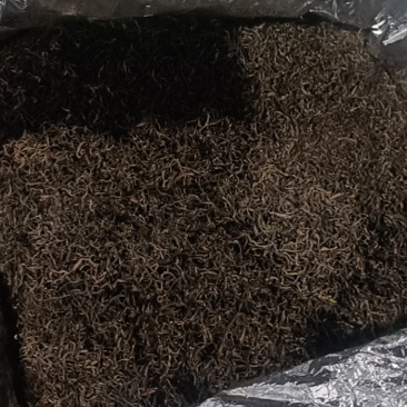 新鲜采摘！合肥直供黄山毛峰，品质保证，快来选购！