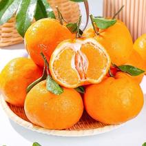 正宗四川丑橘耙耙柑新鲜橘子水果应季丑橘整箱桔子批发