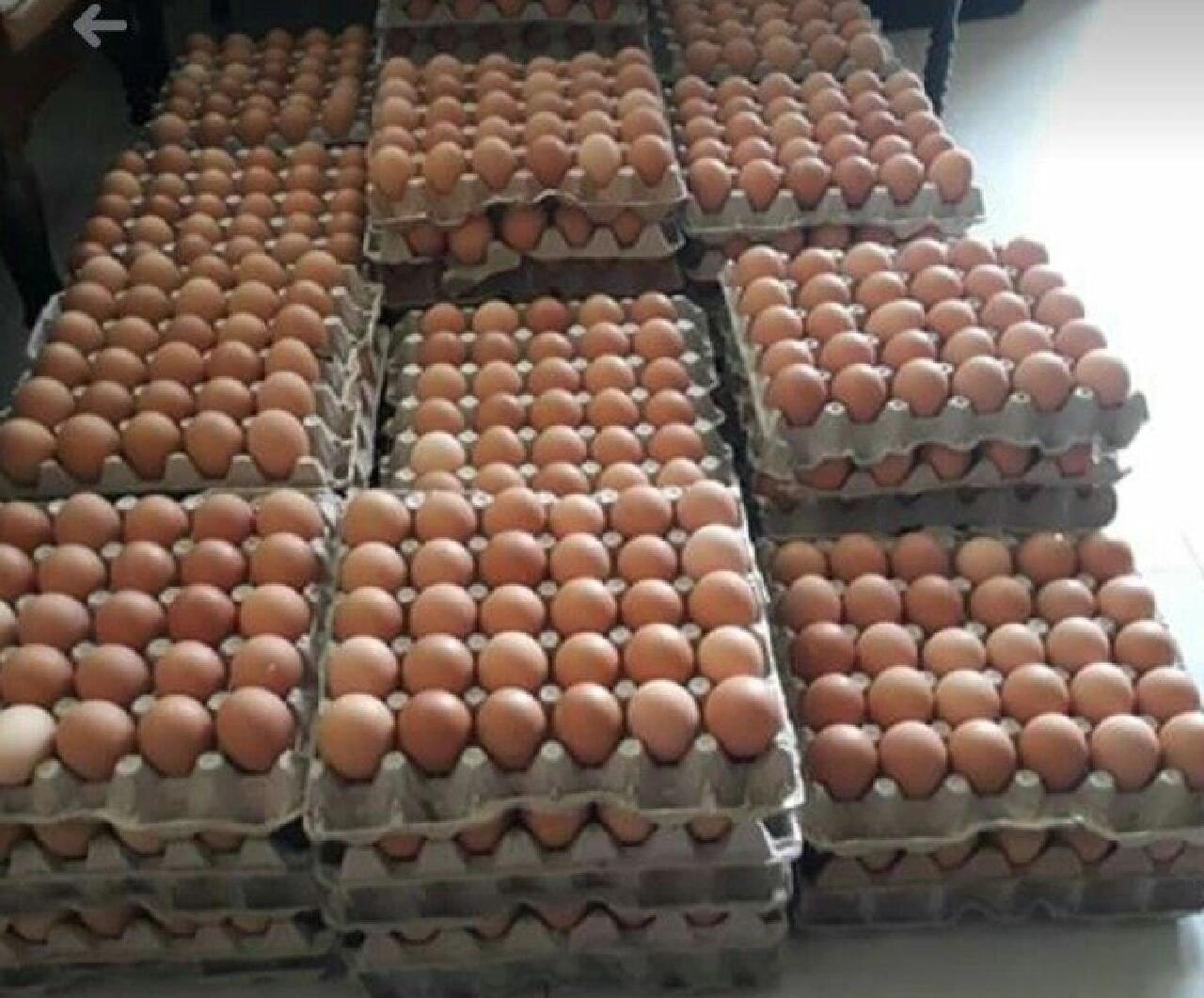 展示新鲜鸡蛋在冰箱中的正确储存方式 鸡蛋储藏图