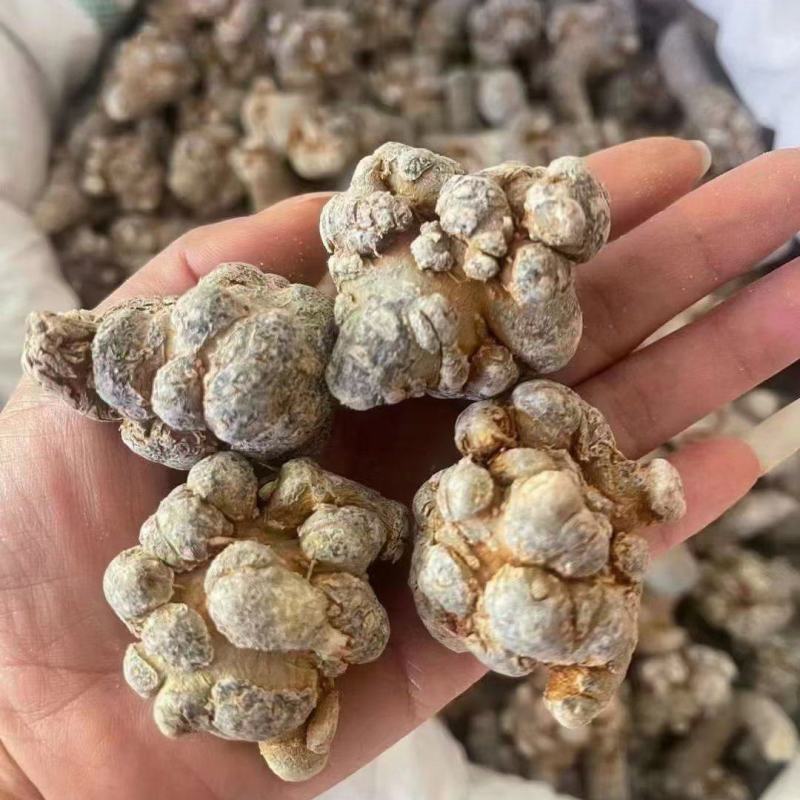正品10头云南文山三七粉田七粉正宗特级云南超细三七粉