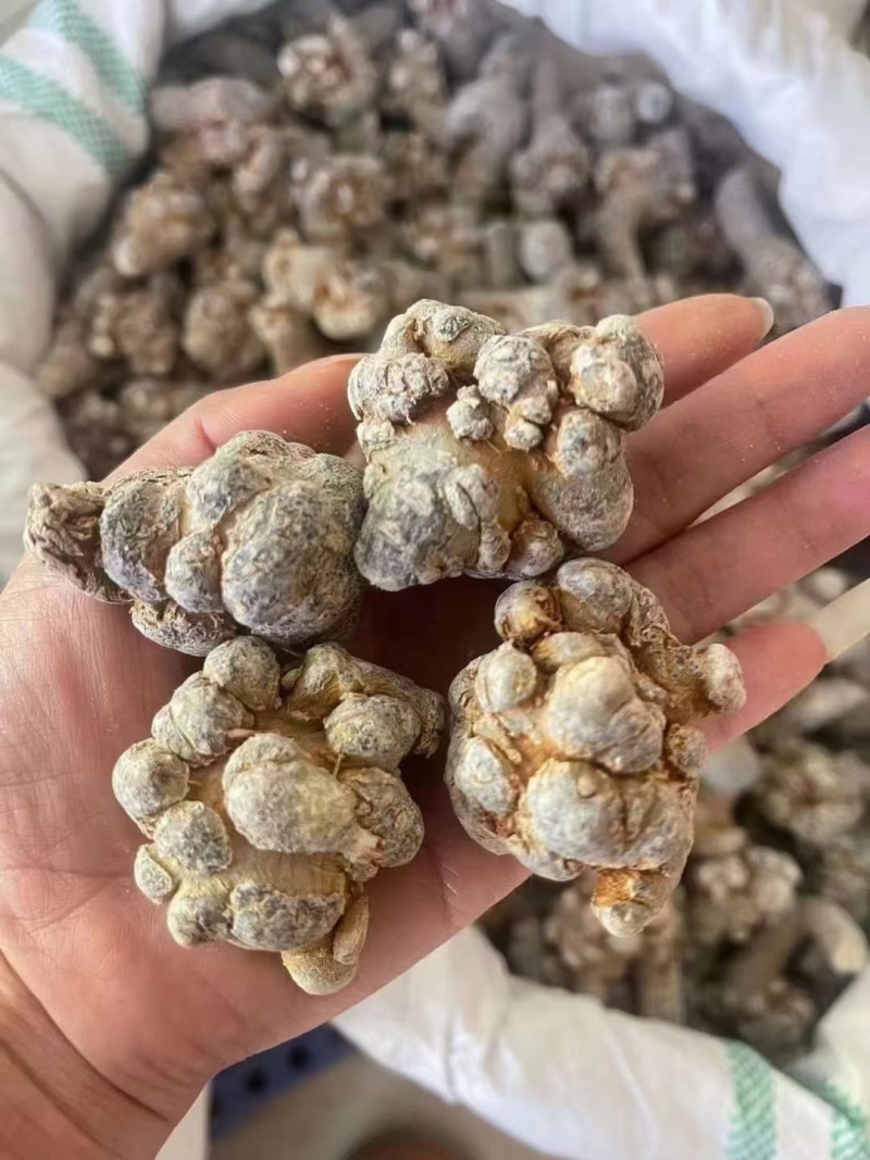 正品10头云南文山三七粉田七粉正宗特级云南超细三七粉