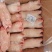 猪蹄，精品猪蹄20斤，21-23个