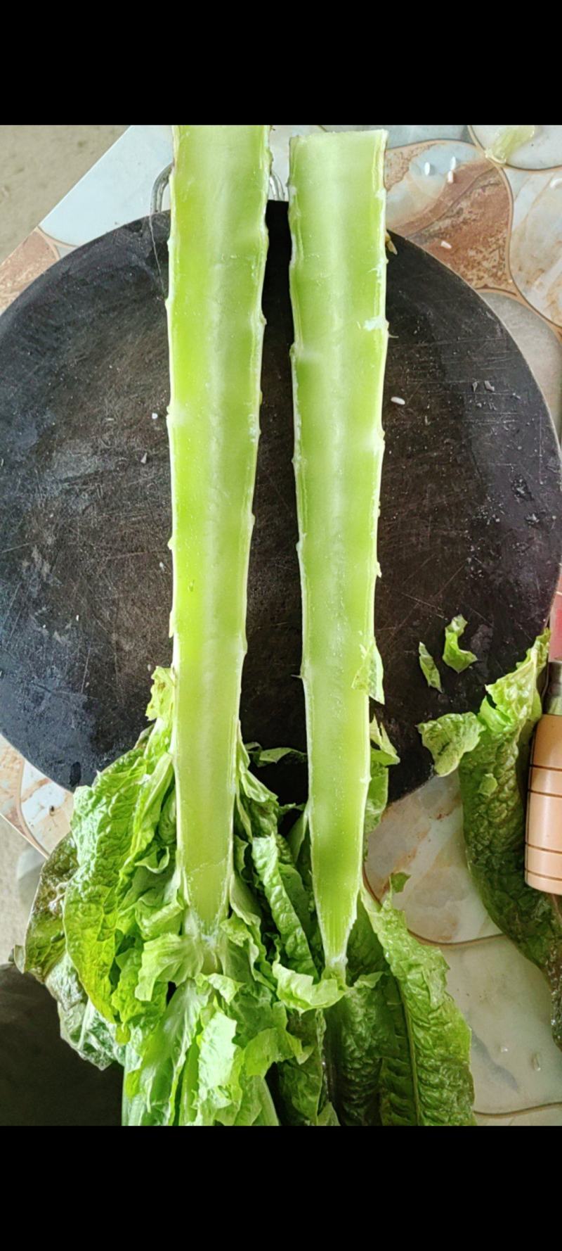 莴苣