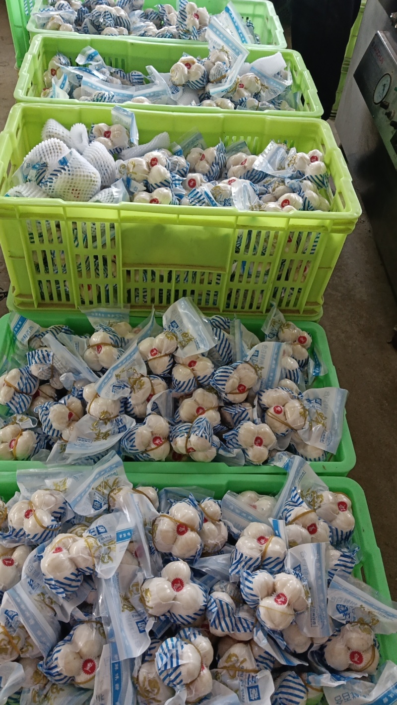 兰州甜大小两头大小三头大小四头12头各种规格饭店商务批发