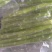 山东莴笋肉真空莴笋肉当季热卖质量保证品种纯正