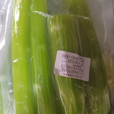 山东莴笋肉真空莴笋肉当季热卖质量保证品种纯正
