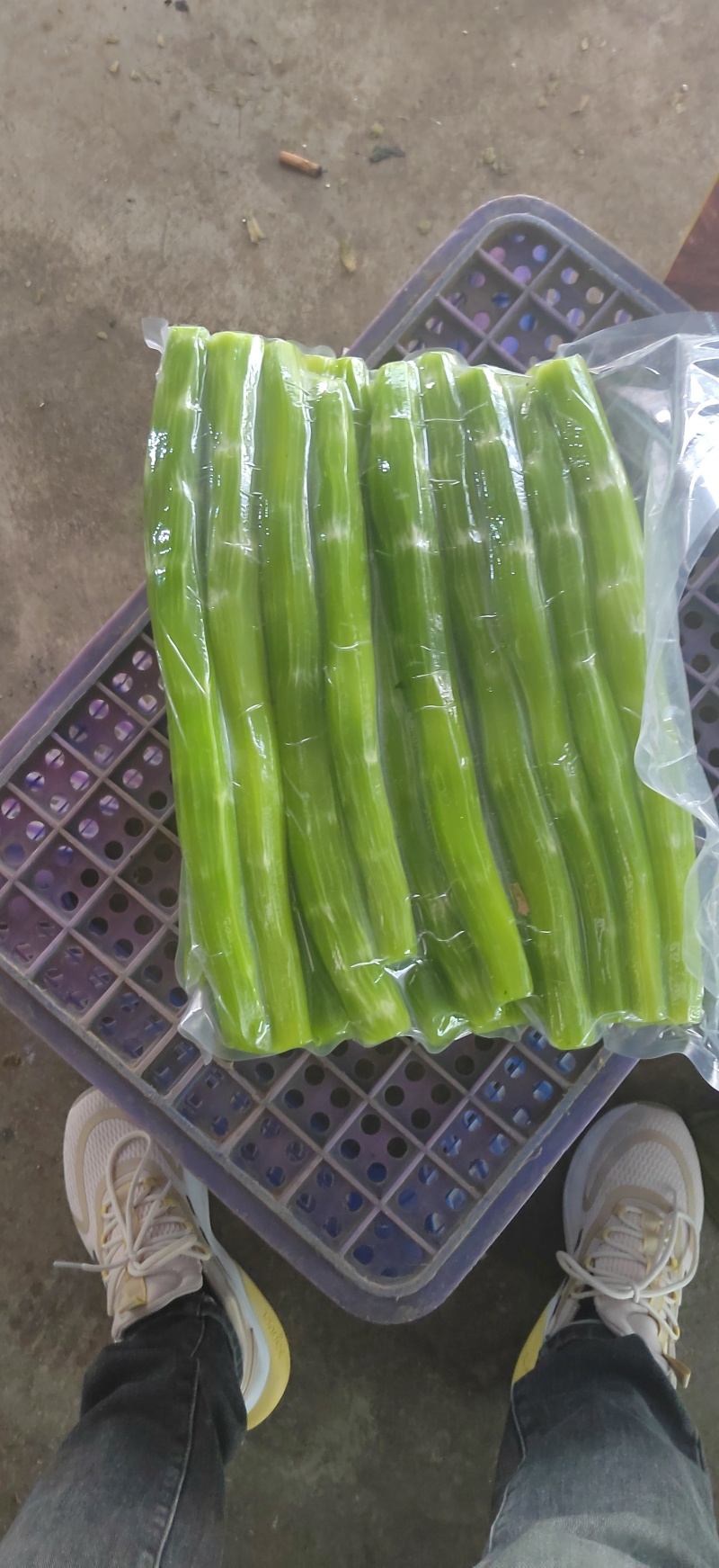 山东莴笋肉真空莴笋肉当季热卖质量保证品种纯正