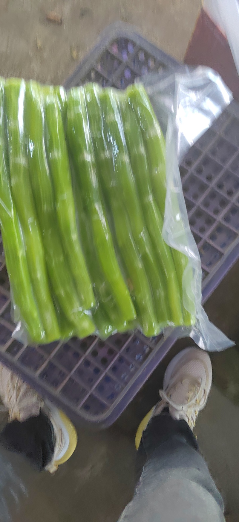 山东莴笋肉真空莴笋肉当季热卖质量保证品种纯正