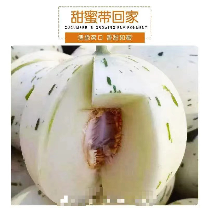 蜜露甜瓜🍈