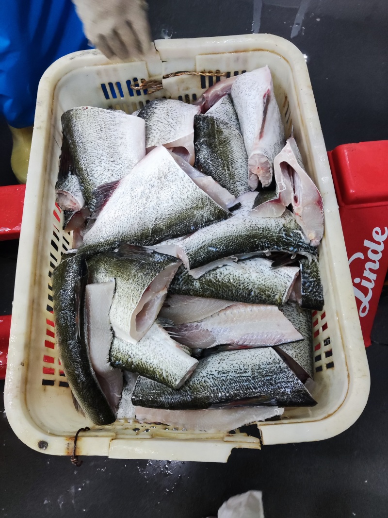 源头工厂供应#活鱼现杀#大量供应#鱼身鱼块产品