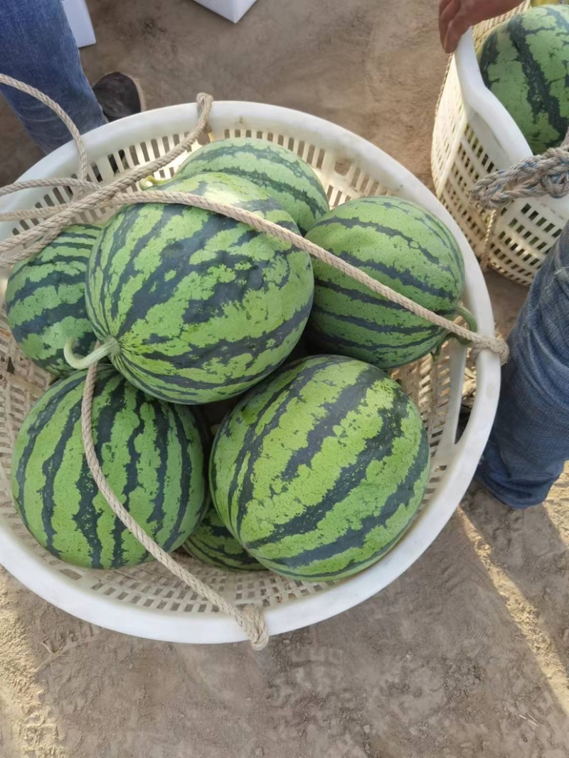 正品保障西瓜长期供应