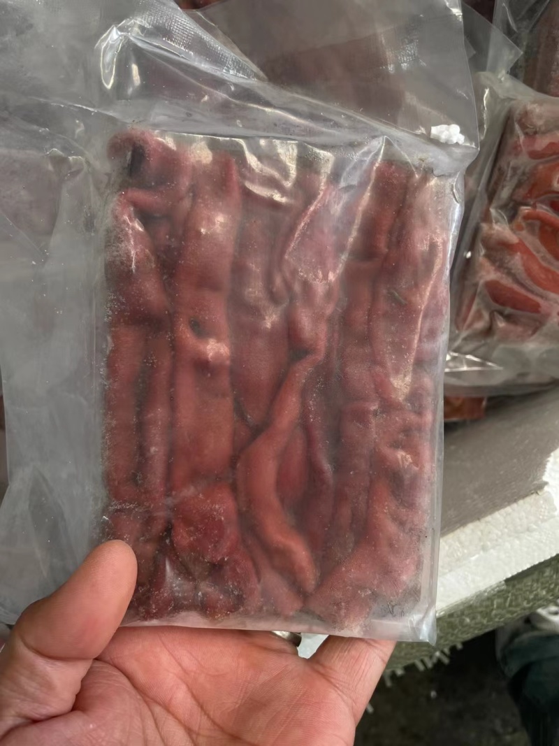 新鲜海肠鲜活现杀速冻海肠皮200g大连海肠捞饭半成品原料