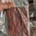 新鲜海肠鲜活现杀速冻海肠皮200g大连海肠捞饭半成品原料