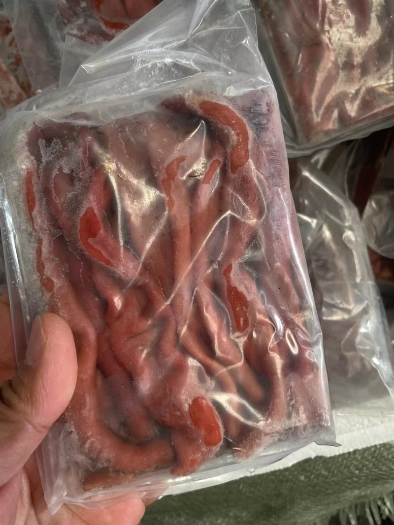 新鲜海肠鲜活现杀速冻海肠皮200g大连海肠捞饭半成品原料