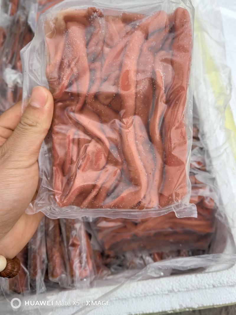 新鲜海肠鲜活现杀速冻海肠皮200g大连海肠捞饭半成品原料
