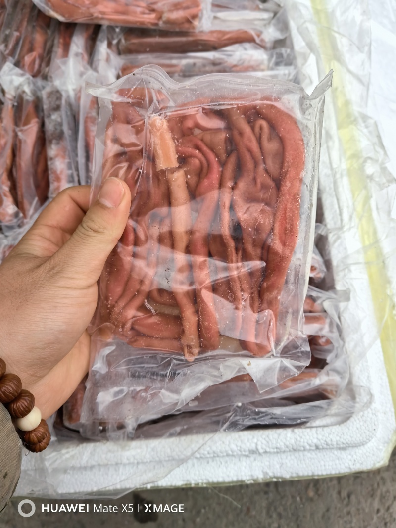 新鲜海肠鲜活现杀速冻海肠皮200g大连海肠捞饭半成品原料