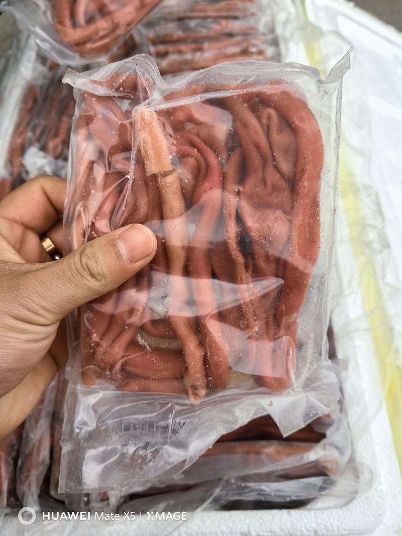 新鲜海肠鲜活现杀速冻海肠皮200g大连海肠捞饭半成品原料