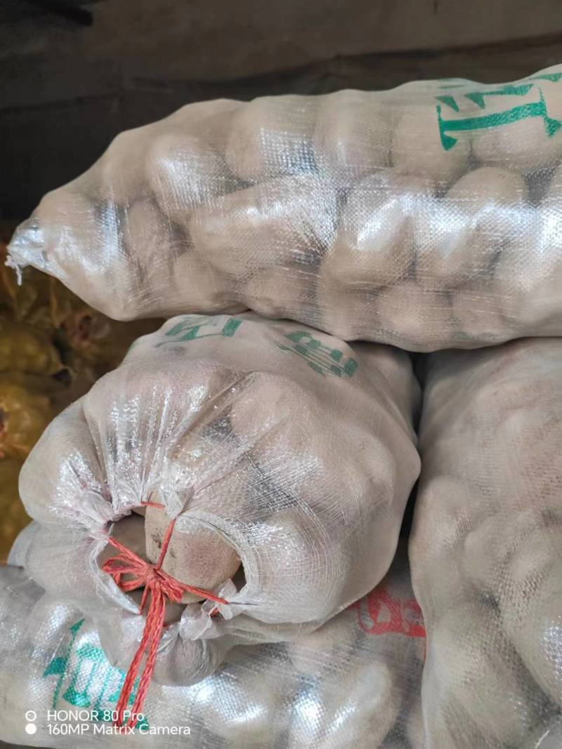 精品粗皮青薯九号大量现货，无虫眼草眼，无机械伤，产地直发