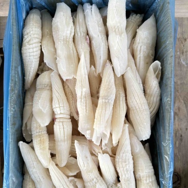 鱿鱼尾花，外形与火箭相似，又名火箭鱿，花型漂亮