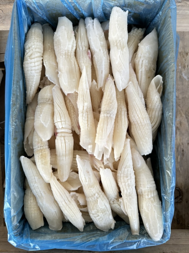 鱿鱼尾花，外形与火箭相似，又名火箭鱿，花型漂亮