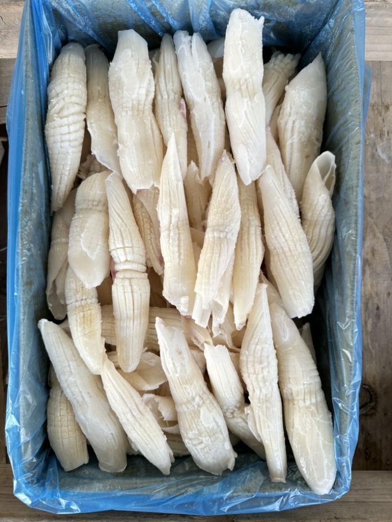 鱿鱼尾花，外形与火箭相似，又名火箭鱿，花型漂亮