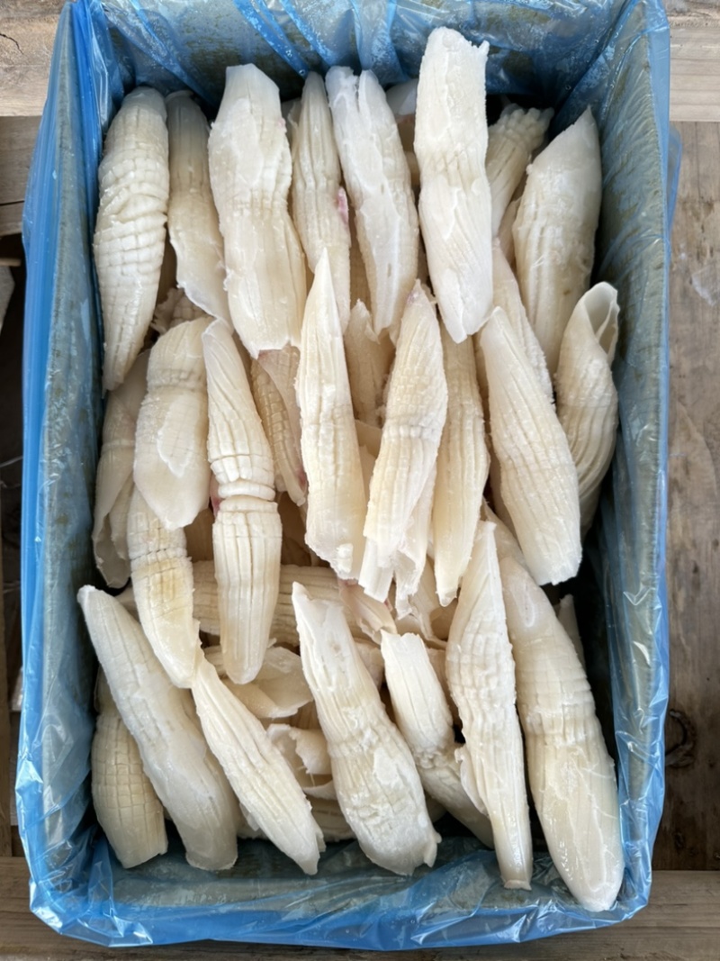 鱿鱼尾花，外形与火箭相似，又名火箭鱿，花型漂亮