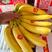 🟪特价菲律宾青蕉🟪二黄蕉🟪大量现货🟪保质保量🟪