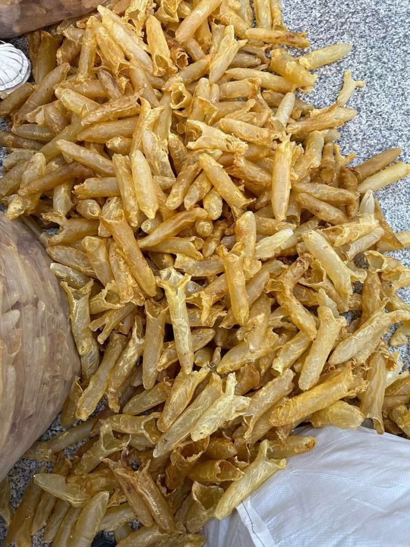 80头黄花胶破洞货（品相没这么好）清仓处理捡漏的来