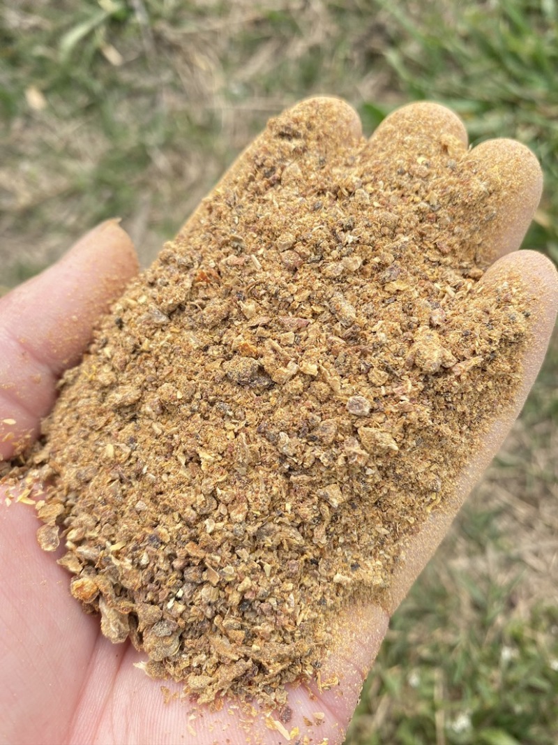 果渣苹果渣梨渣柑橘渣牛羊猪精补饲料适口性好易吸收新鲜无杂