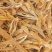 【瓜蒌皮】1000克实物拍摄量大从优