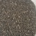 【补骨脂】1000克实物拍摄批发供应各种中药材