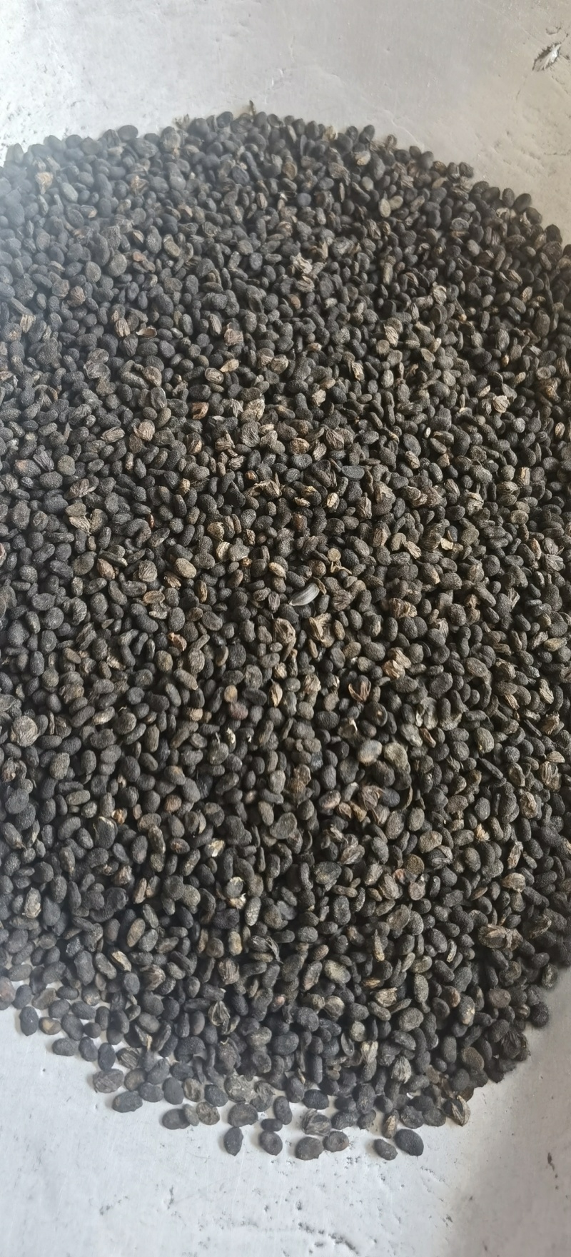 【补骨脂】1000克实物拍摄批发供应各种中药材