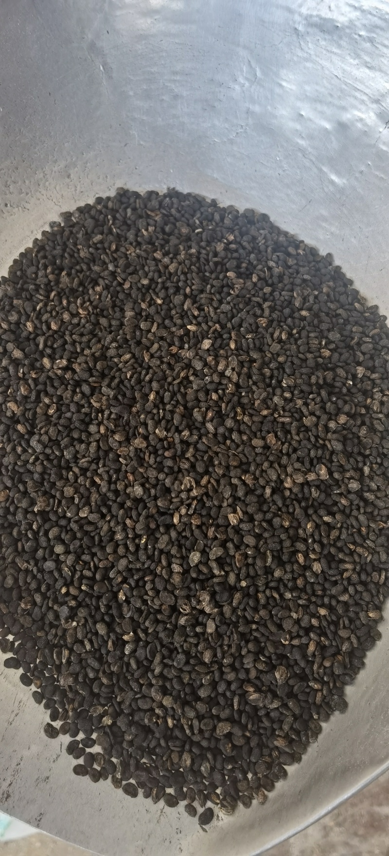 【补骨脂】1000克实物拍摄批发供应各种中药材