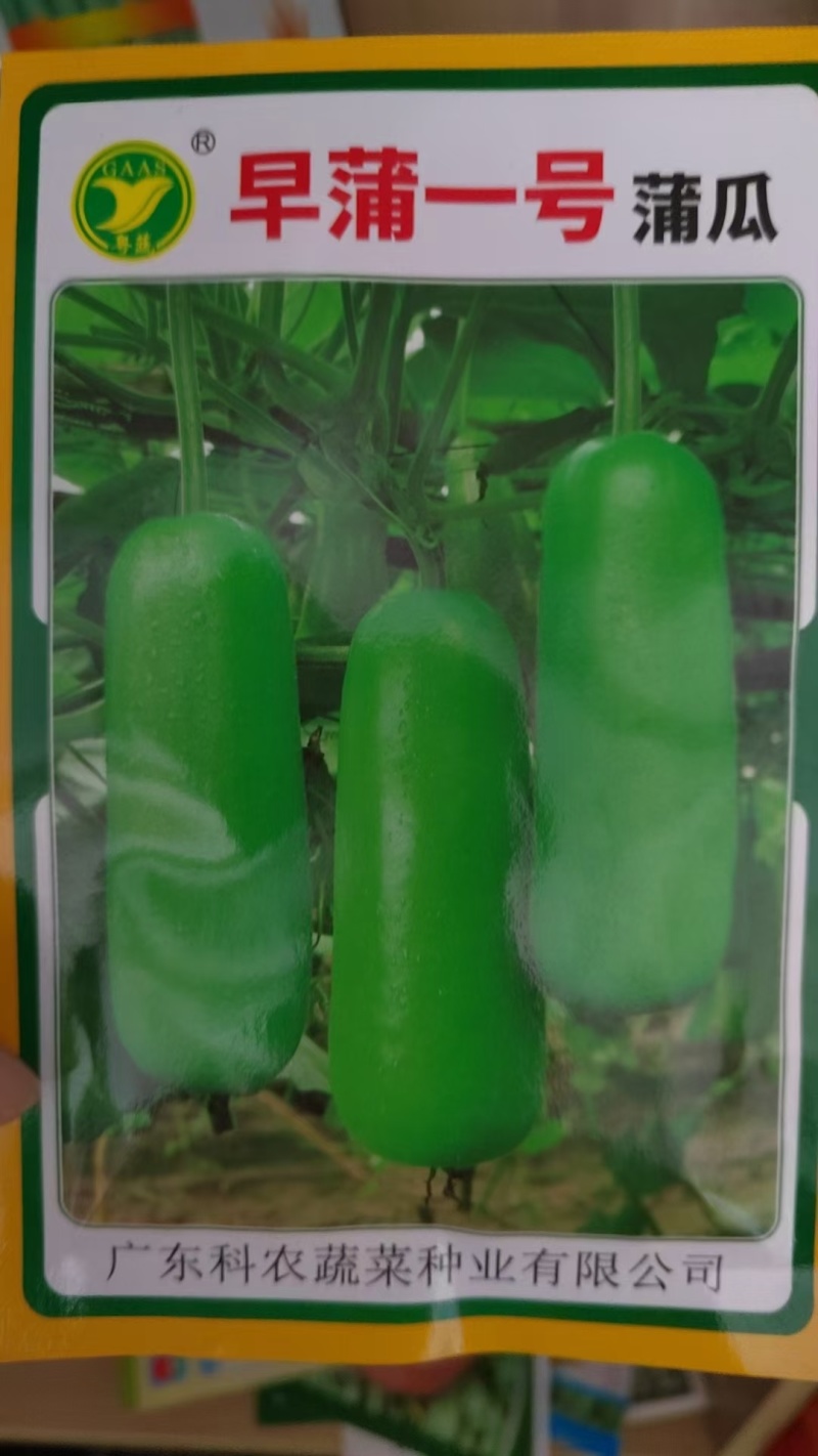 ，瓠瓜苗种子种苗代育加工常年供应！品质保证，