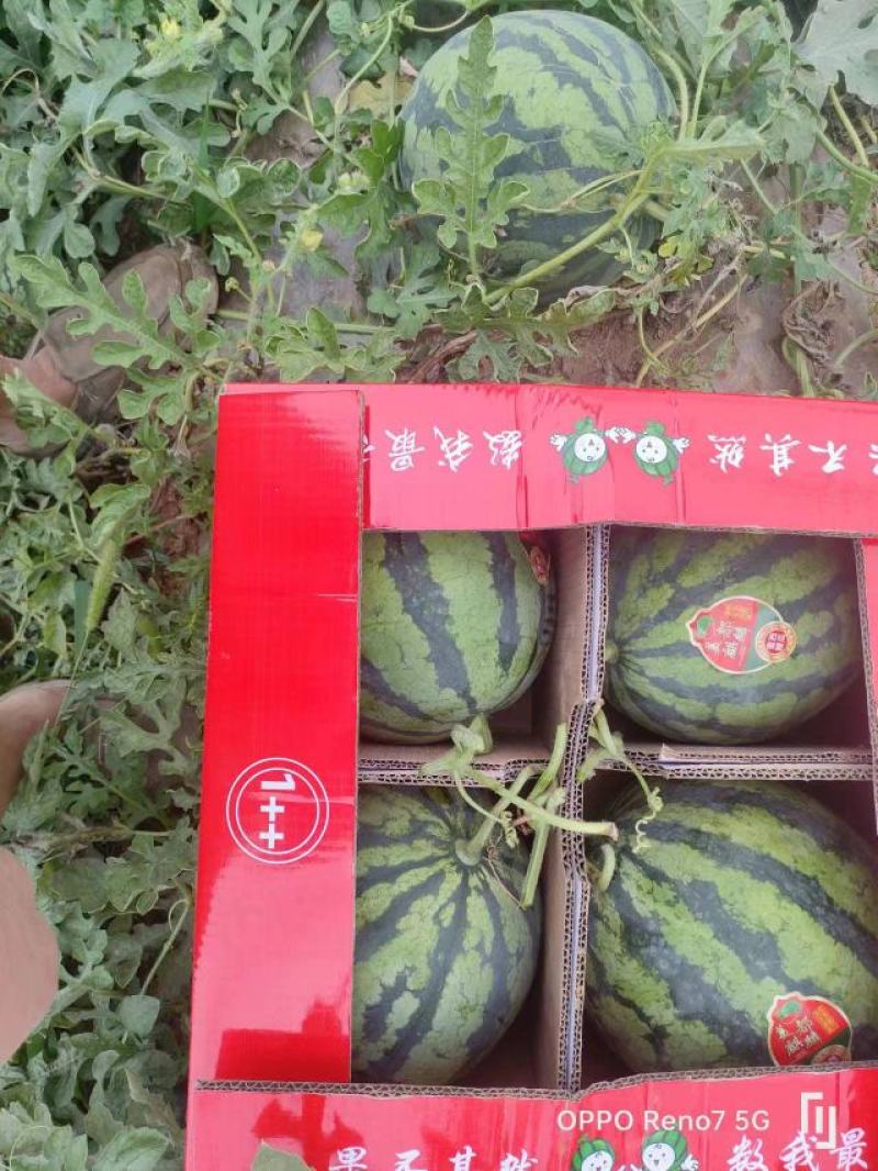美都西瓜麒麟西瓜产地直销量大从优全国可发质量保证