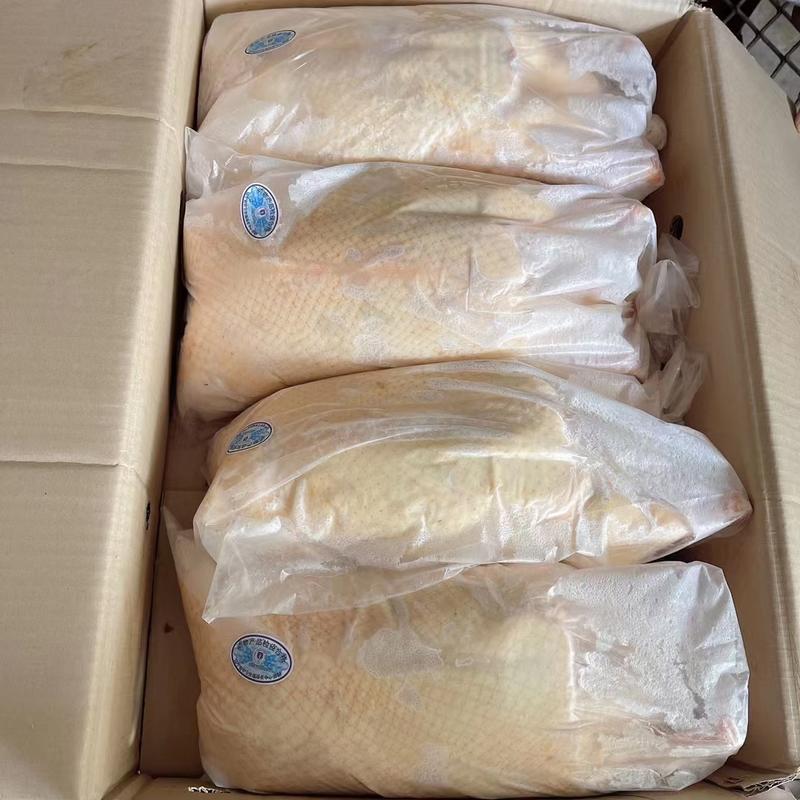 白山雪雁厂家直发一手货源特种养殖食材大鹅鸭