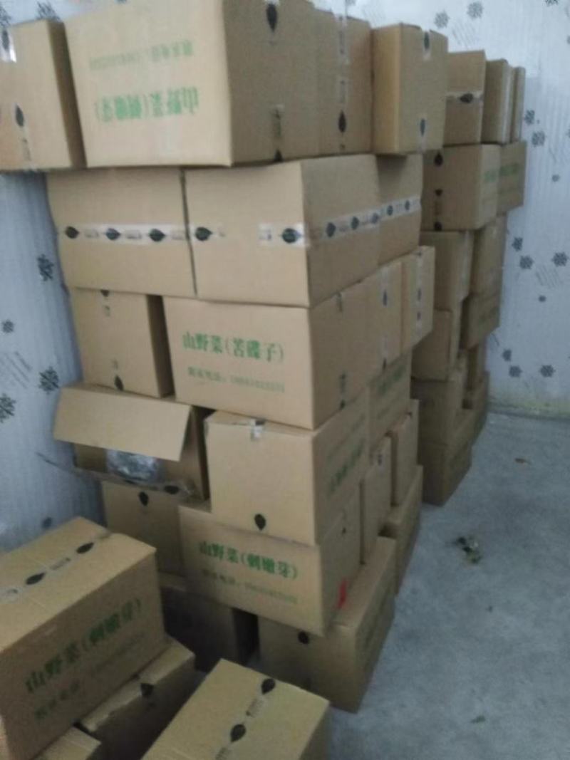 大山新鲜没水洗头茬香椿芽