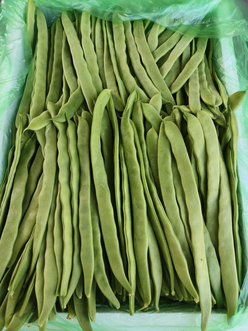 云南场地直发各种豆角有扁豆小金豆无筋豆等……