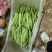 云南场地直发各种豆角有扁豆小金豆无筋豆等……