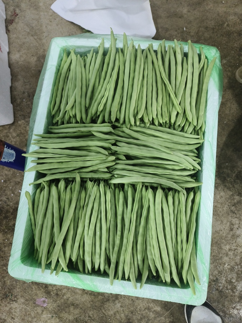 云南场地直发各种豆角有扁豆小金豆无筋豆等……