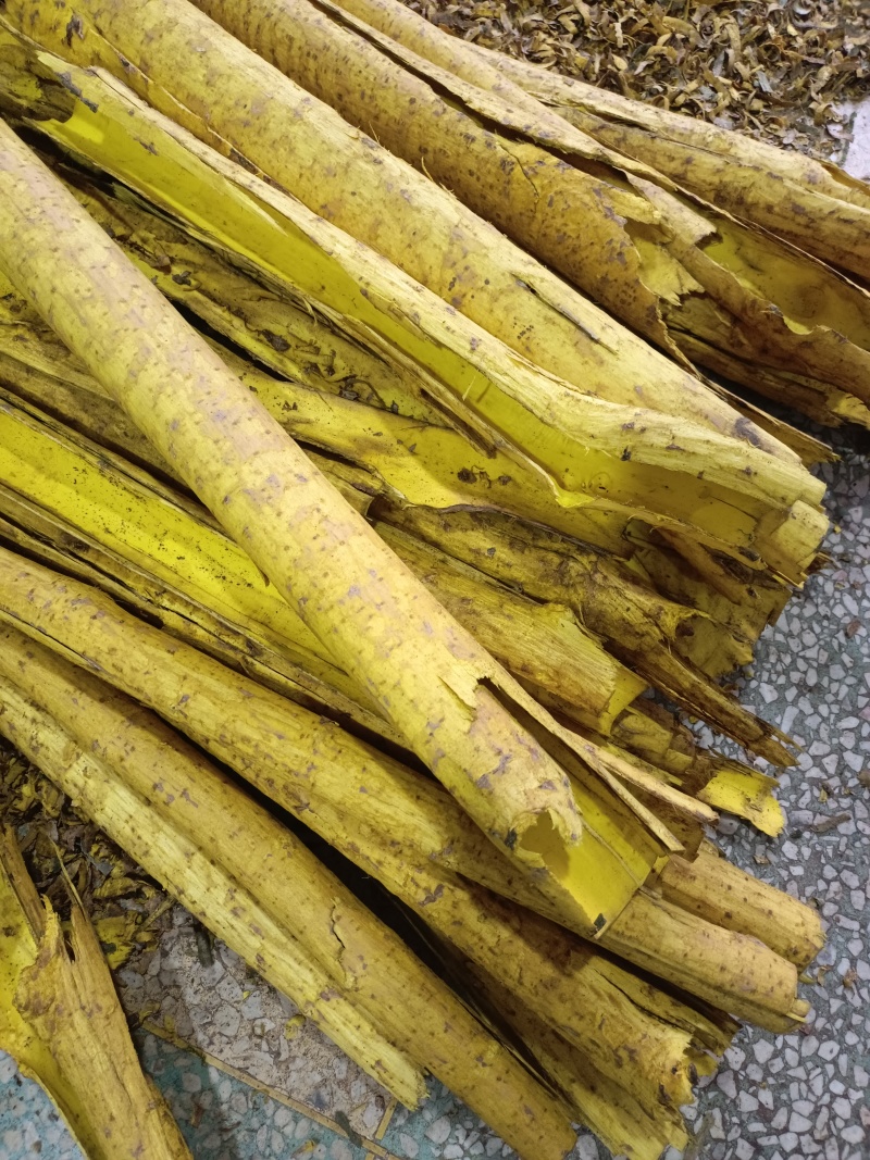 黄柏精品丝无青皮，双面黄个子，大量有货