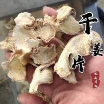 干姜片实拍发货如图保庆药业云南小干姜味道浓郁